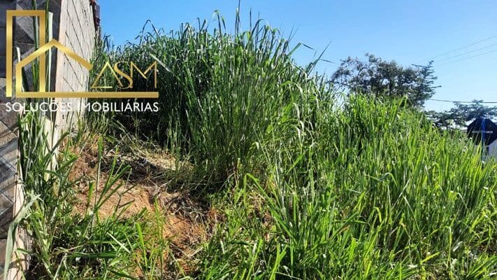 Vendo Excelente Terreno de 360 m2, de Frente p/ Lagoa em Araçatiba - Maricá - RJ