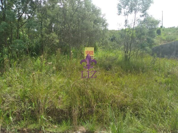 Terreno Venda