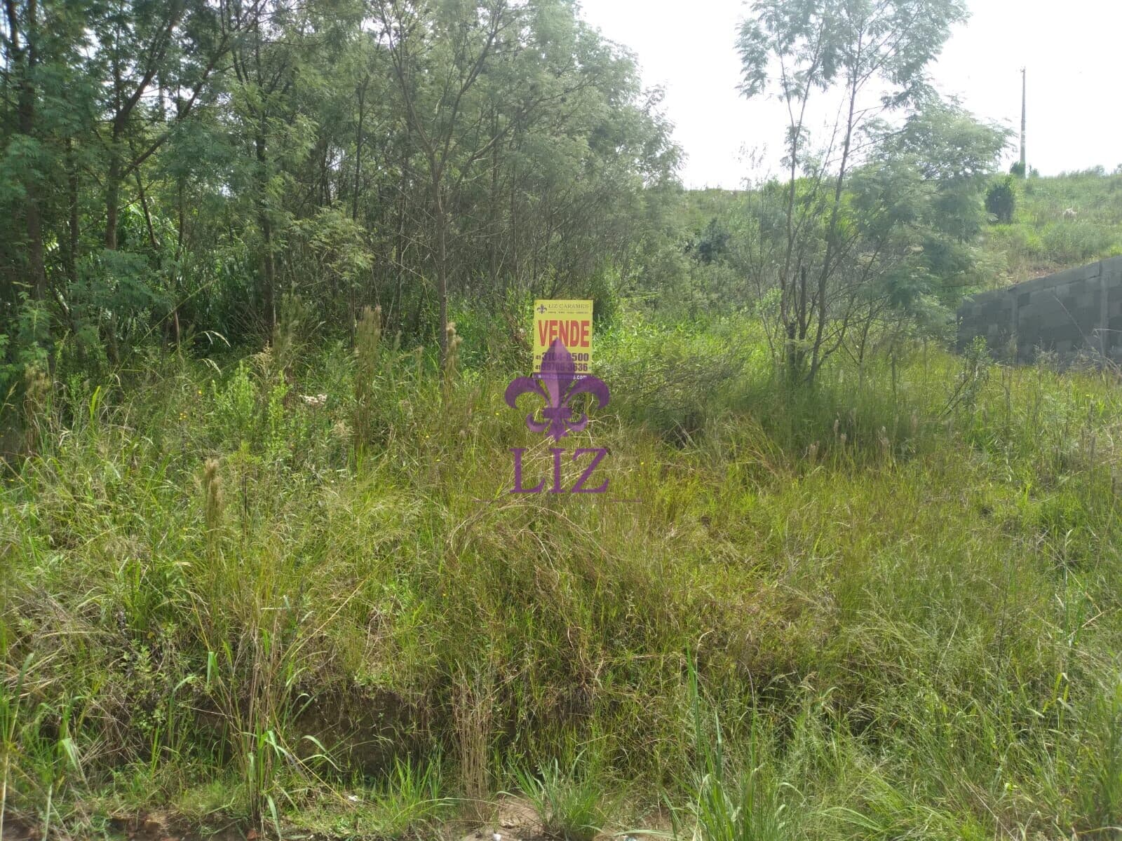 Terreno Venda