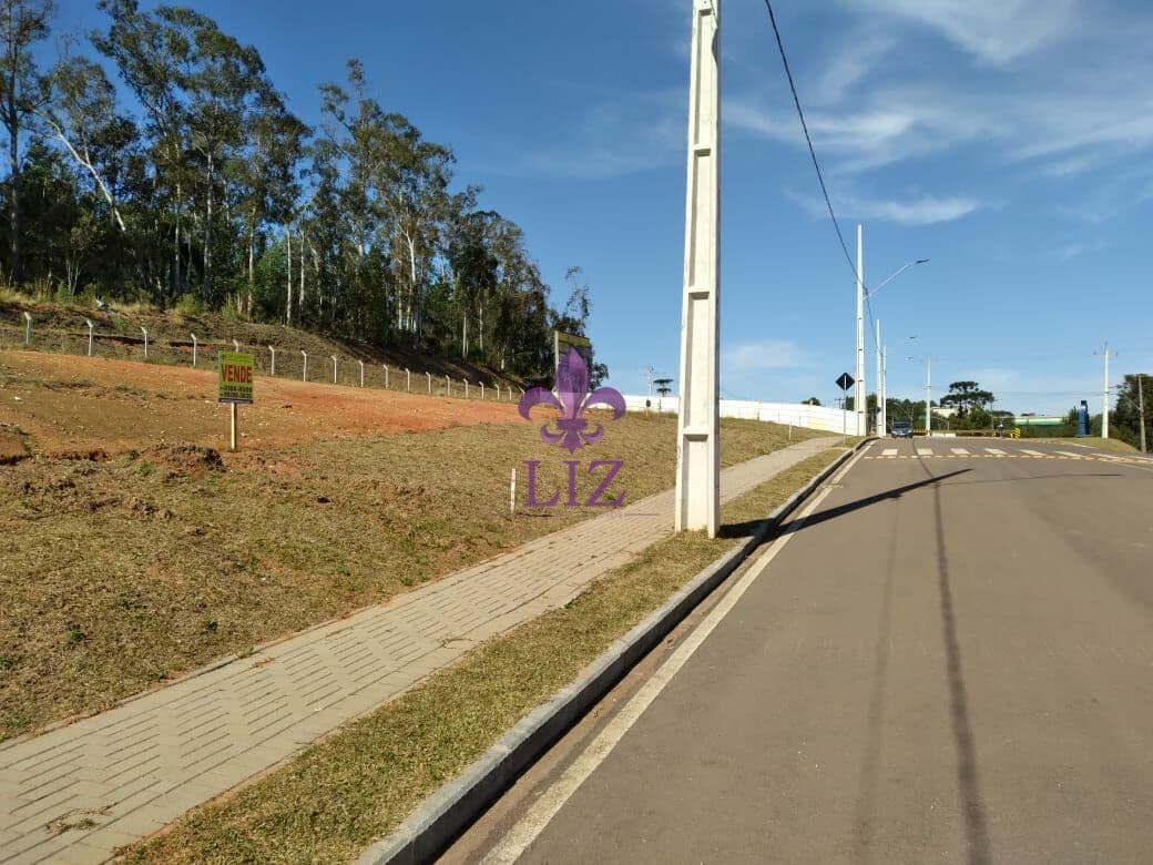 Lotes Comerciais no Novo Daher