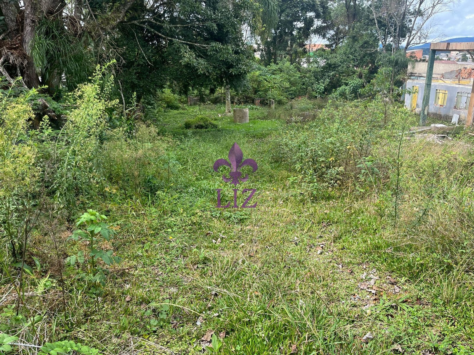 Lote/Terreno em Campina Grande do Sul - São Cosme