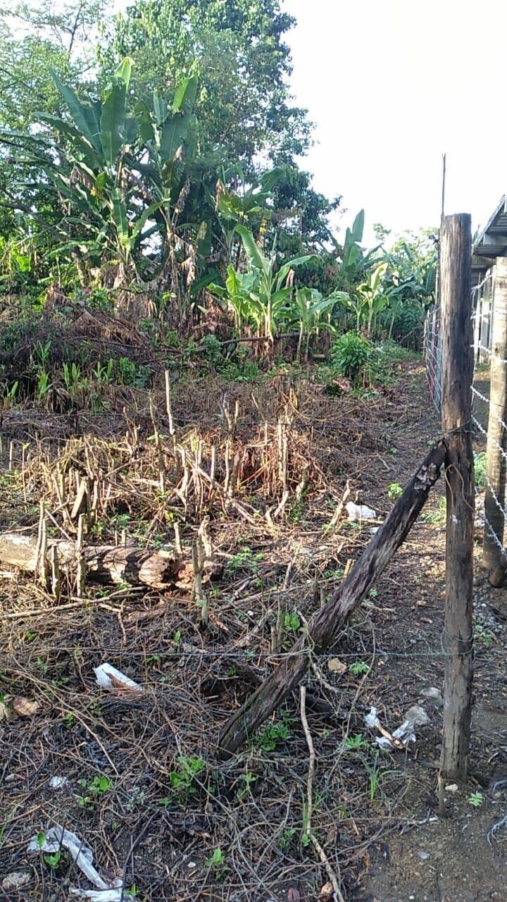 Lote/Terreno em Angra dos Reis - Santa Rita do Bracuí