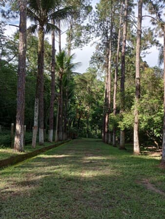 Fazenda/Sítios/Chácaras em Barra do Piraí - Dorândia