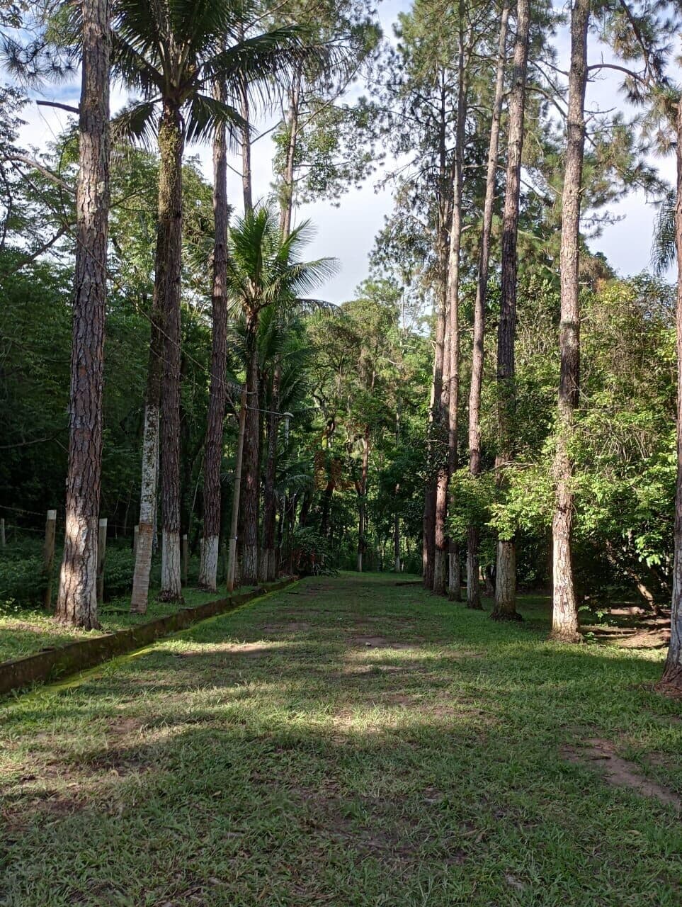Fazenda/Sítios/Chácaras em Barra do Piraí - Dorândia