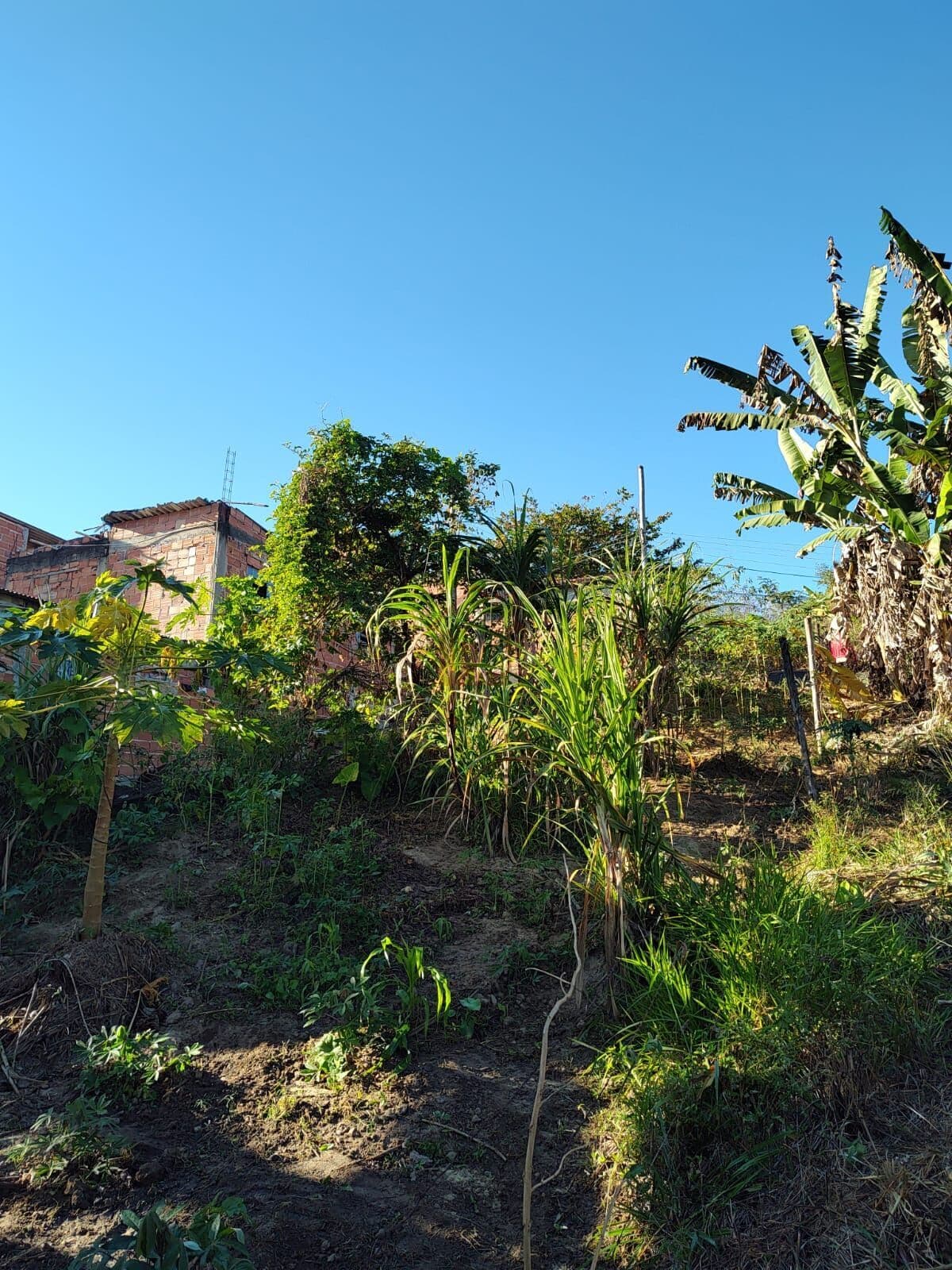 Lote/Terreno em Volta Redonda - Roma