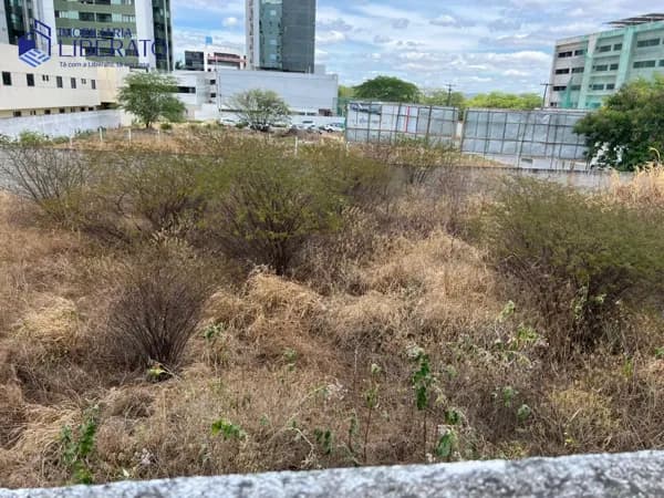 Lote/Terreno em Caruaru - Universitário
