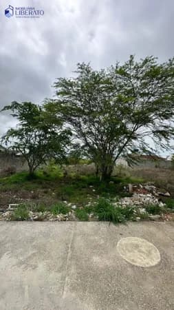 Lote/Terreno em Caruaru - Luiz Gonzaga