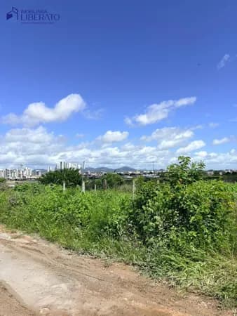 Lote/Terreno em Caruaru - Universitário