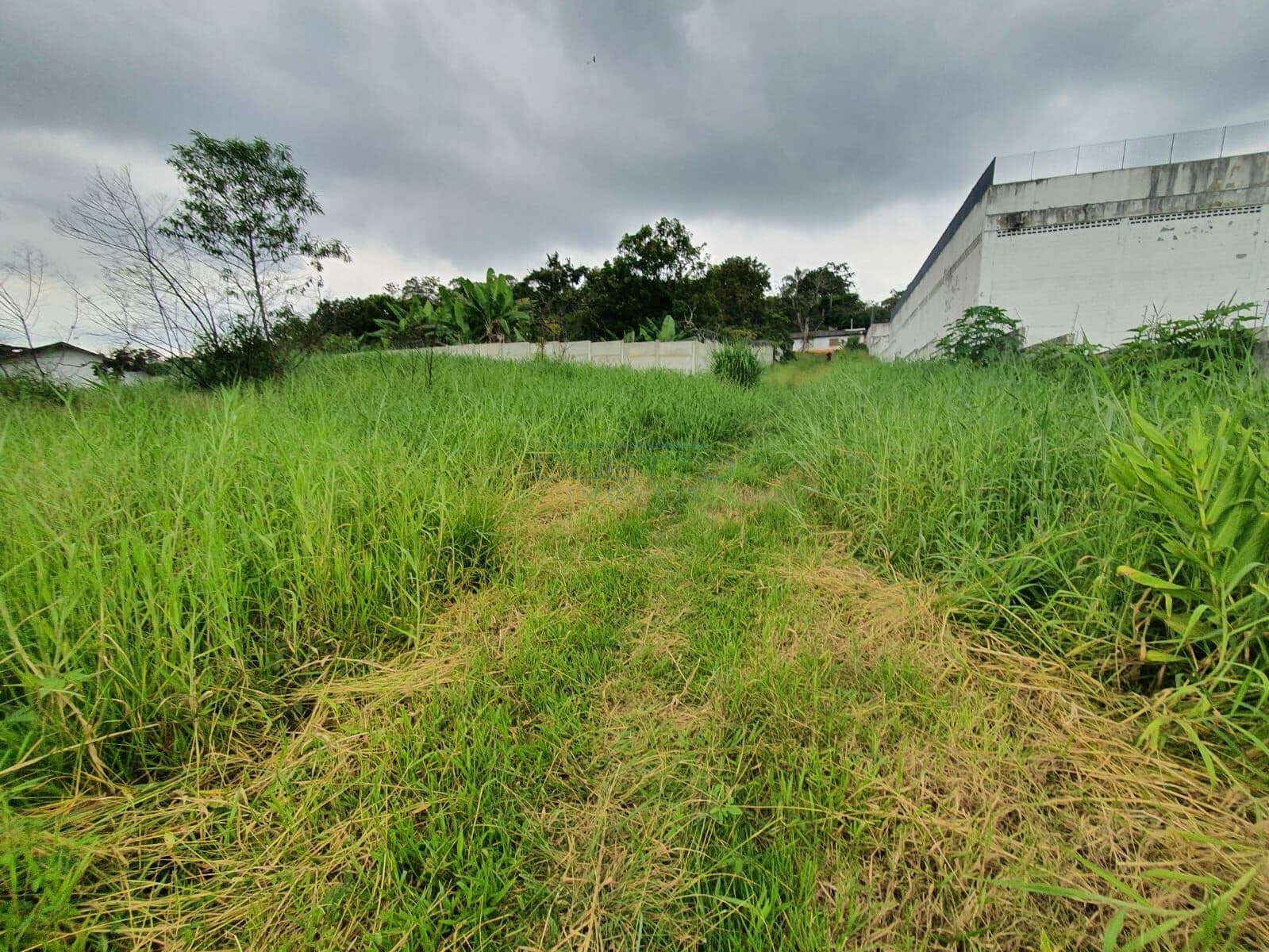 Área de 15.682m² para venda no Jardim Aracy, Mogi das Cruzes - SP