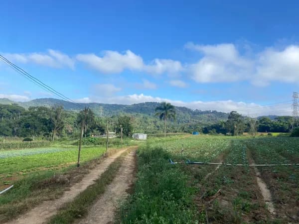 Amplo terreno de 194.153,97m², à venda em Suzano - SP