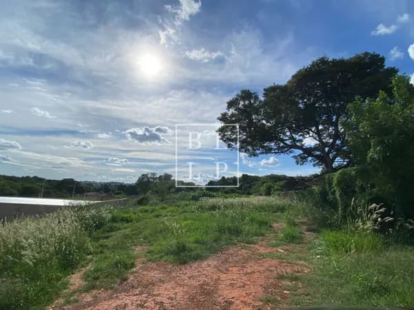 Lote/Terreno em José Bonifácio - Av. Miguel Brandão