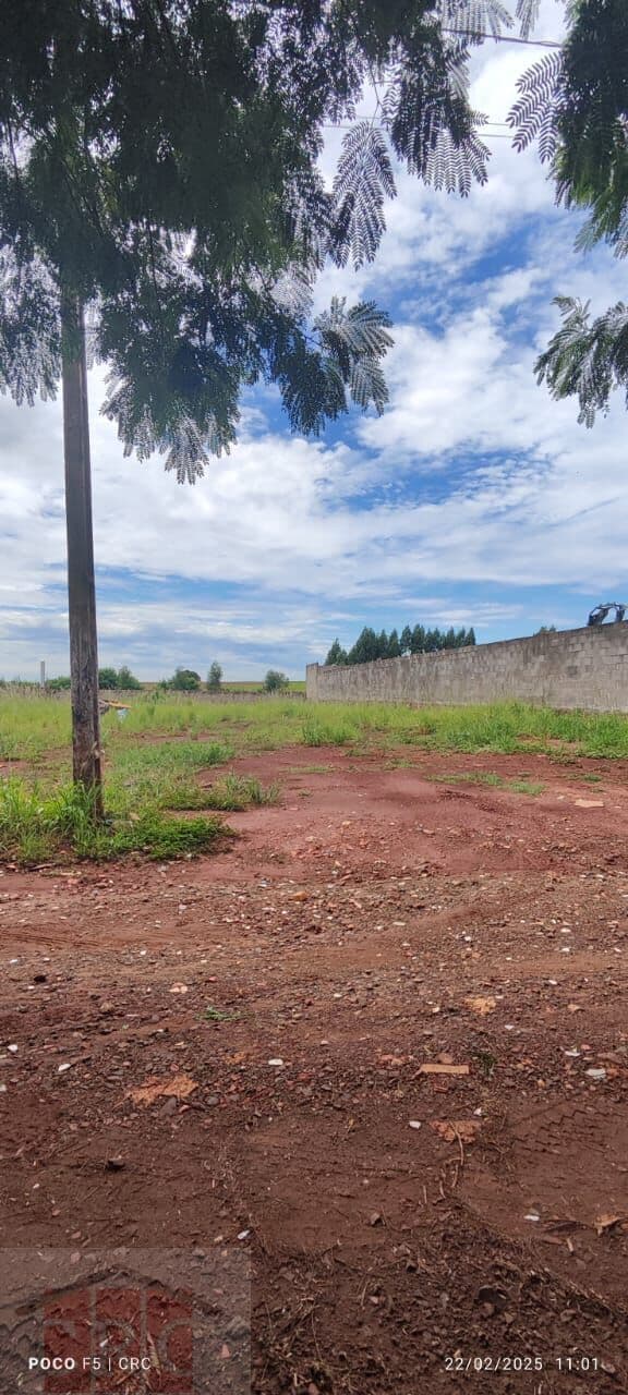 Chácara em São Domingos, alguns metros da Rodovia (Porco no Tacho) Maringá/PR