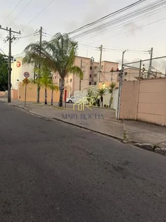 Alto do Picuaia | Caji 2/4