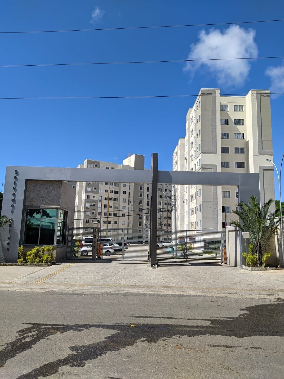 Salvador Garden | Cassange