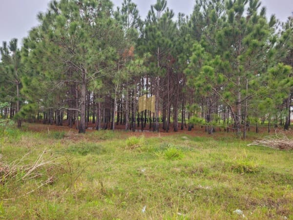 Terreno para investimento em Nova Tramandaí!