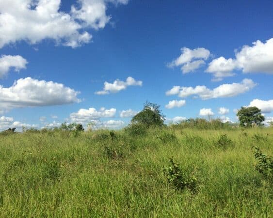 Terreno à venda em Sorocaba/SP