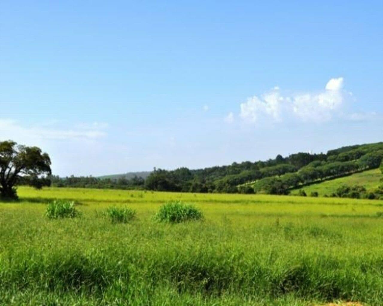 Área a venda - Industrial ou Residencial