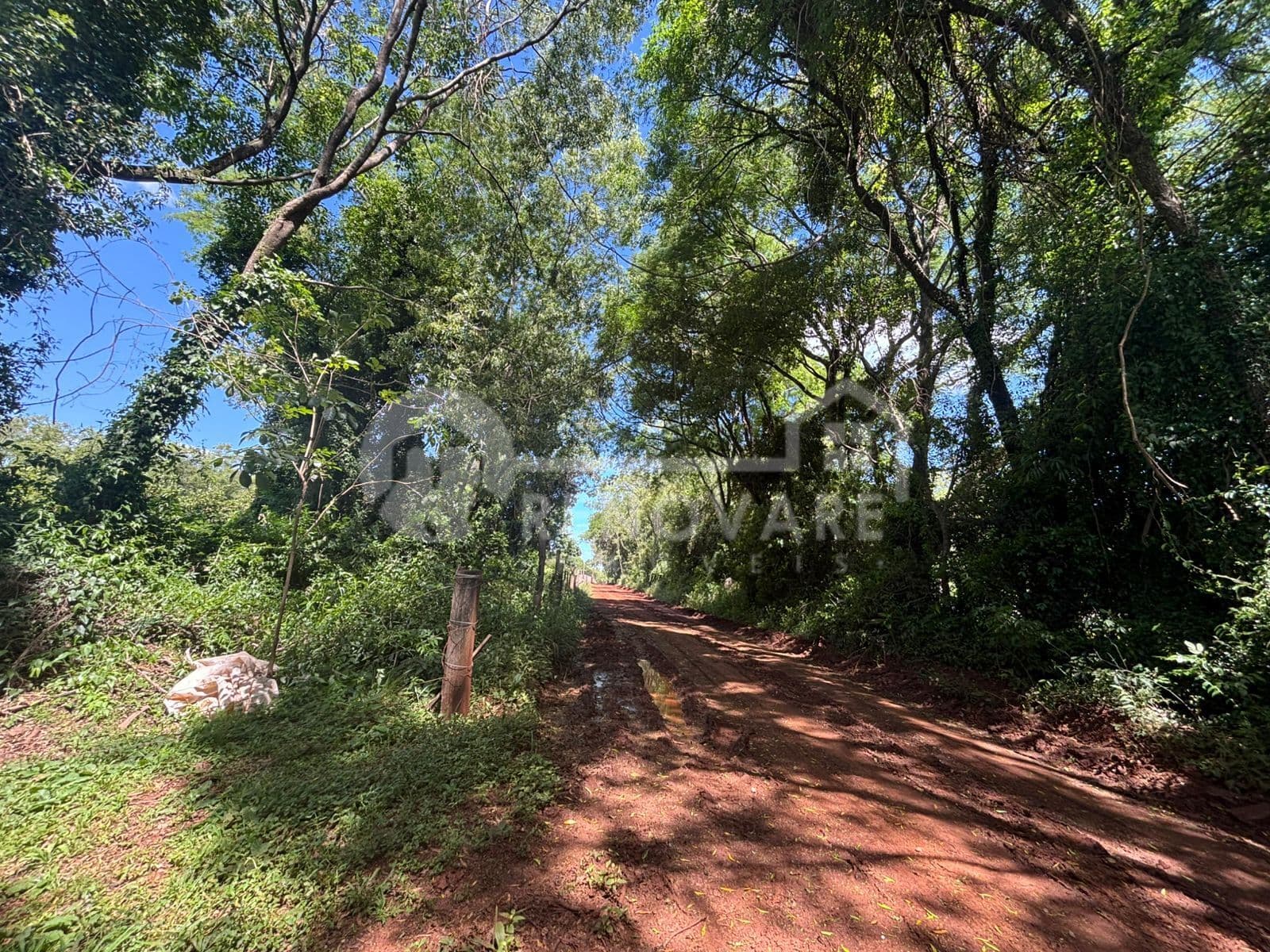 Chácara em Centro, São Borja/RS