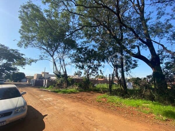 Lote/Terreno em São Borja - Centro