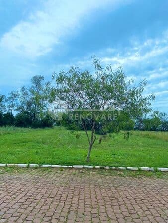 Lote/Terreno em São Borja - Jardim Primavera