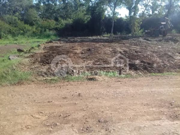 Lote/Terreno em São Borja - Várzea