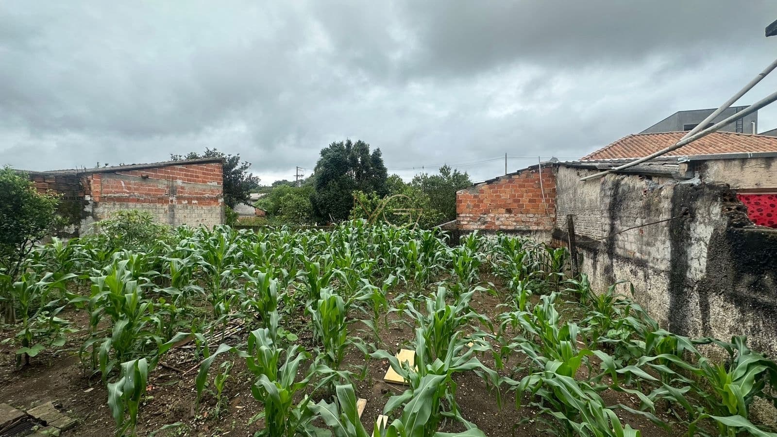 Amplo Terreno em Maria Antonieta, Pinhais/PR