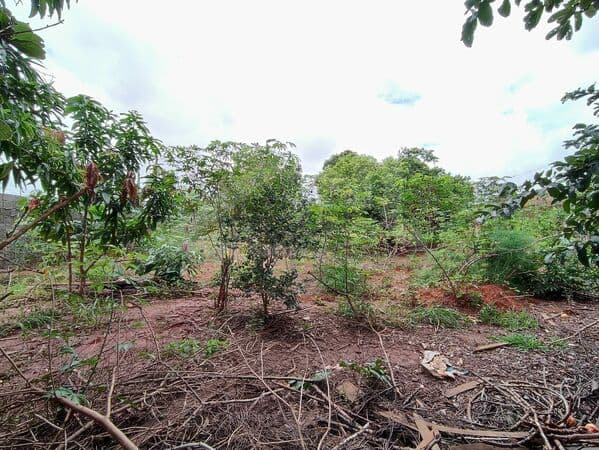 Lote/Terreno em Passos - Coimbras