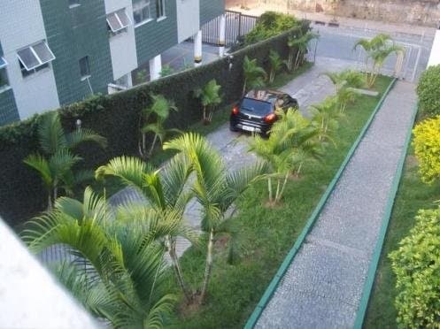 Apartamento Padrão para Venda em Santo Antônio Belo Horizonte-MG