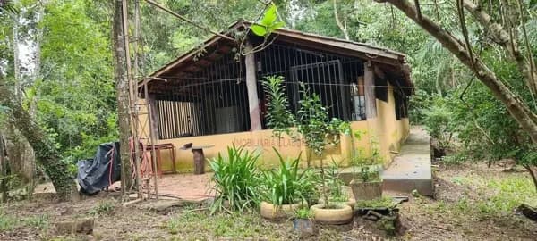 Chácara em Santa Bárbara de Goiás 🍃Um verdadeiro recanto a apenas 48km de Goiânia