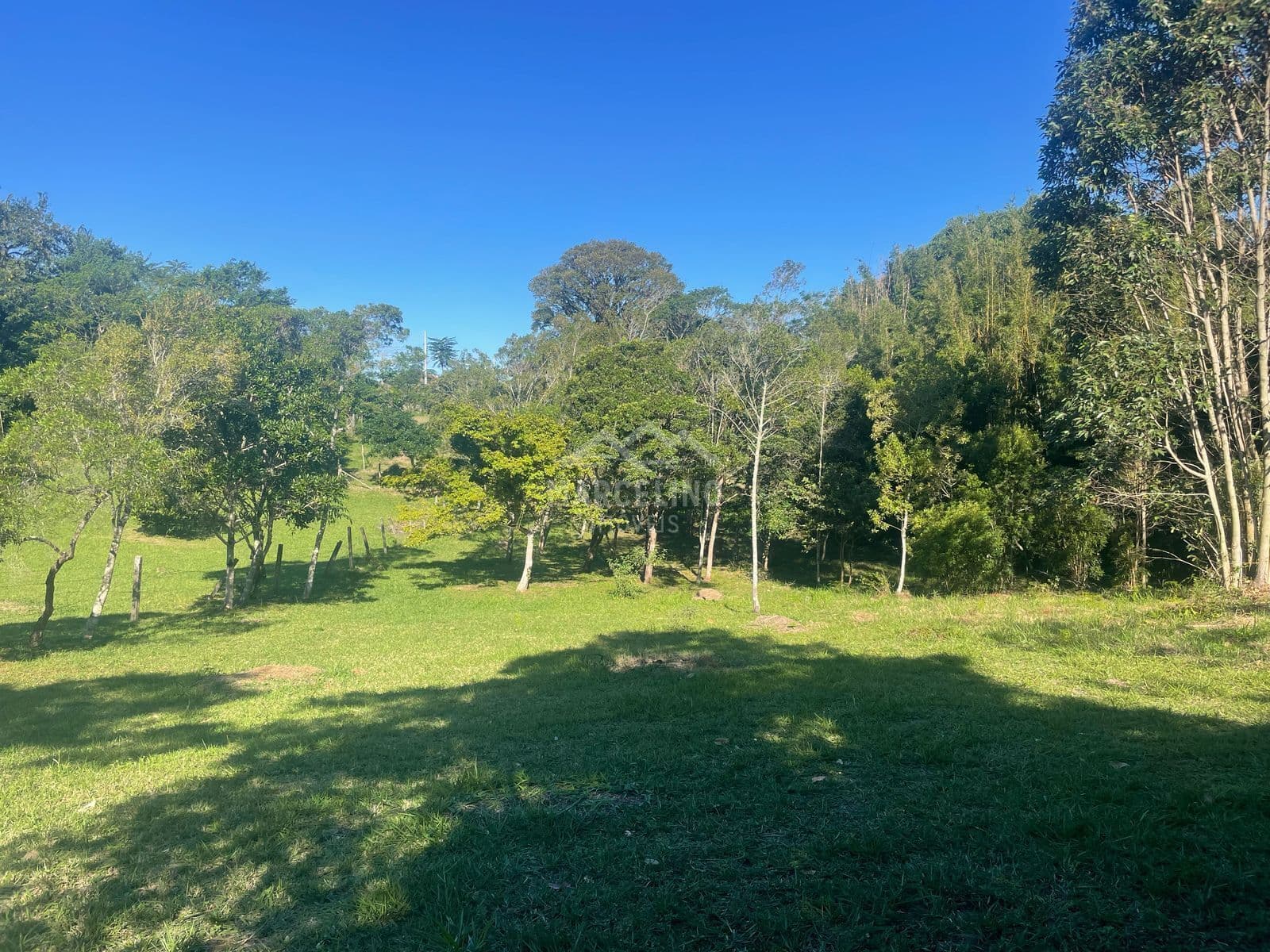 Terreno em IBIRAQUERA