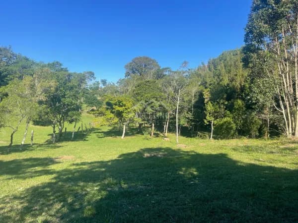 Terreno em IBIRAQUERA