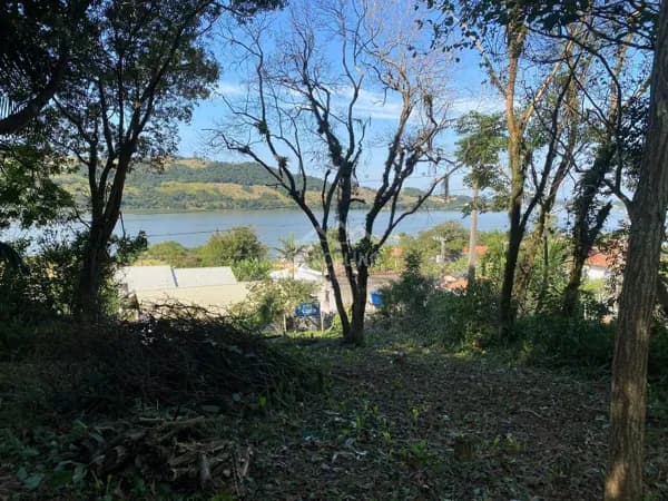 Lote/Terreno em Imaruí - Taquaracutuba