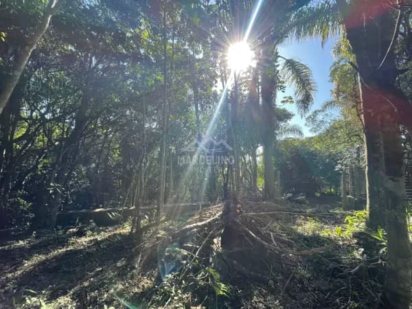 Terreno na Praia do Rosa-SC