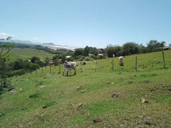 Lote/Terreno em Paulo Lopes - Gamboinha
