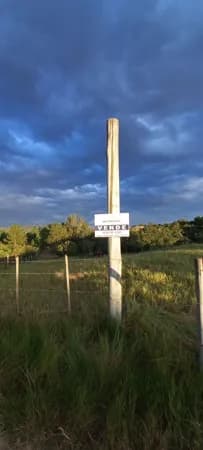 TERRENO EM FRENTE A LAGOA DE IBIRAQUERA-SC