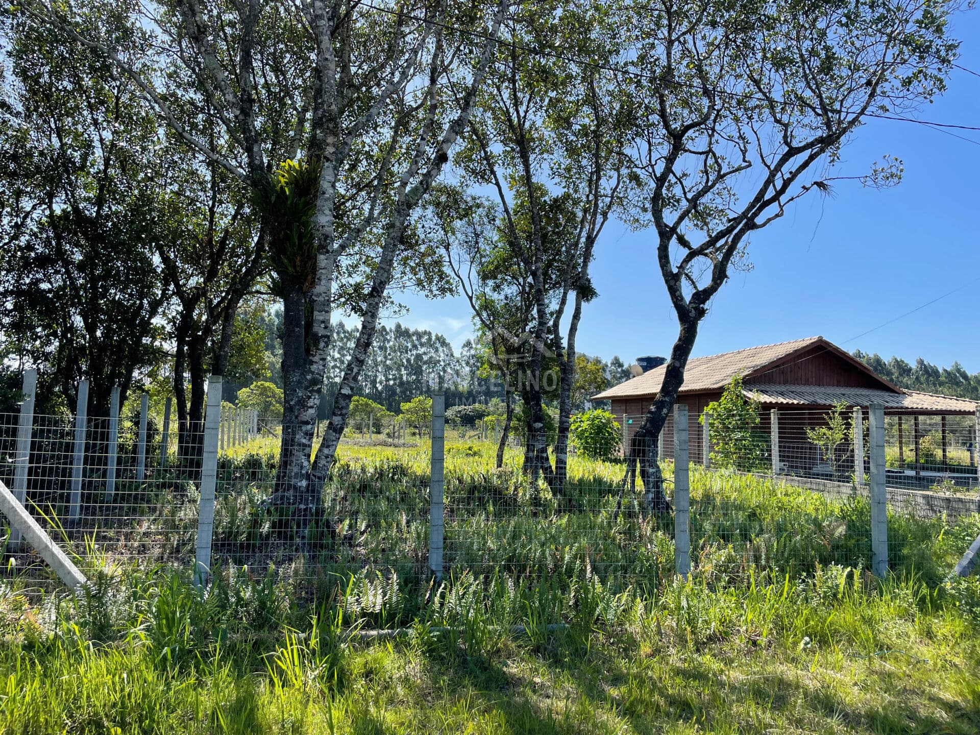 Lote/Terreno em Garopaba - Campo D'una