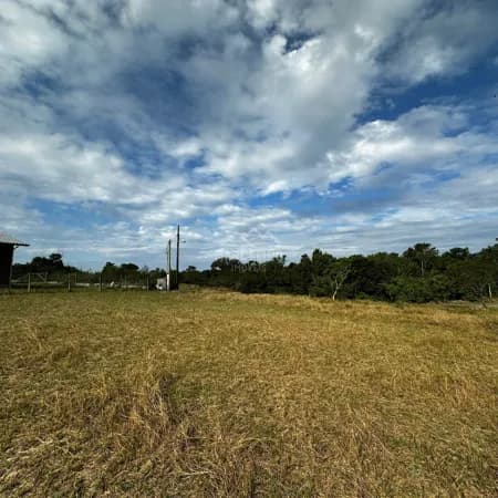 Terreno em Loteamento Ecológico