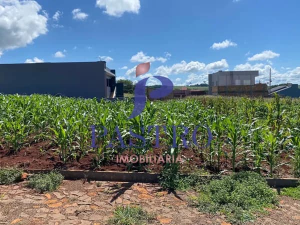 Lote/Terreno em Serranópolis do Iguaçu - Centro
