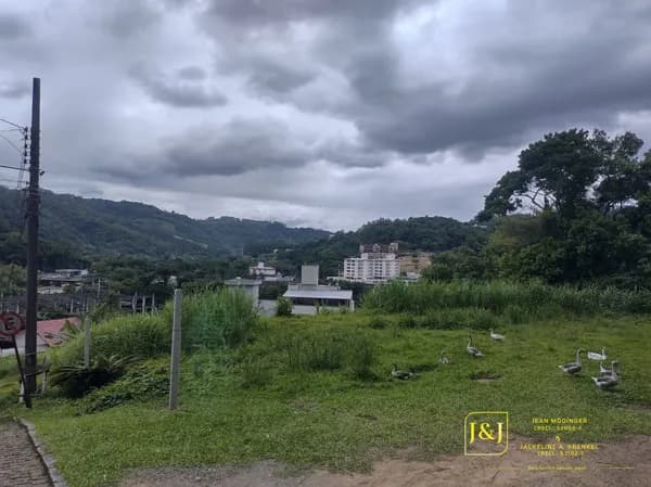Lote/Terreno em Ibirama - Centro