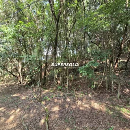 Terreno à venda no Condomínio Colinas do Emirtage em Campinas/SP