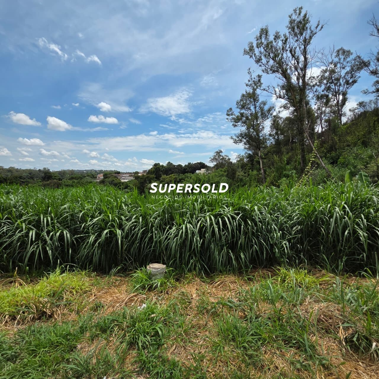 Terreno à venda no São Luiz em Valinhos/SP