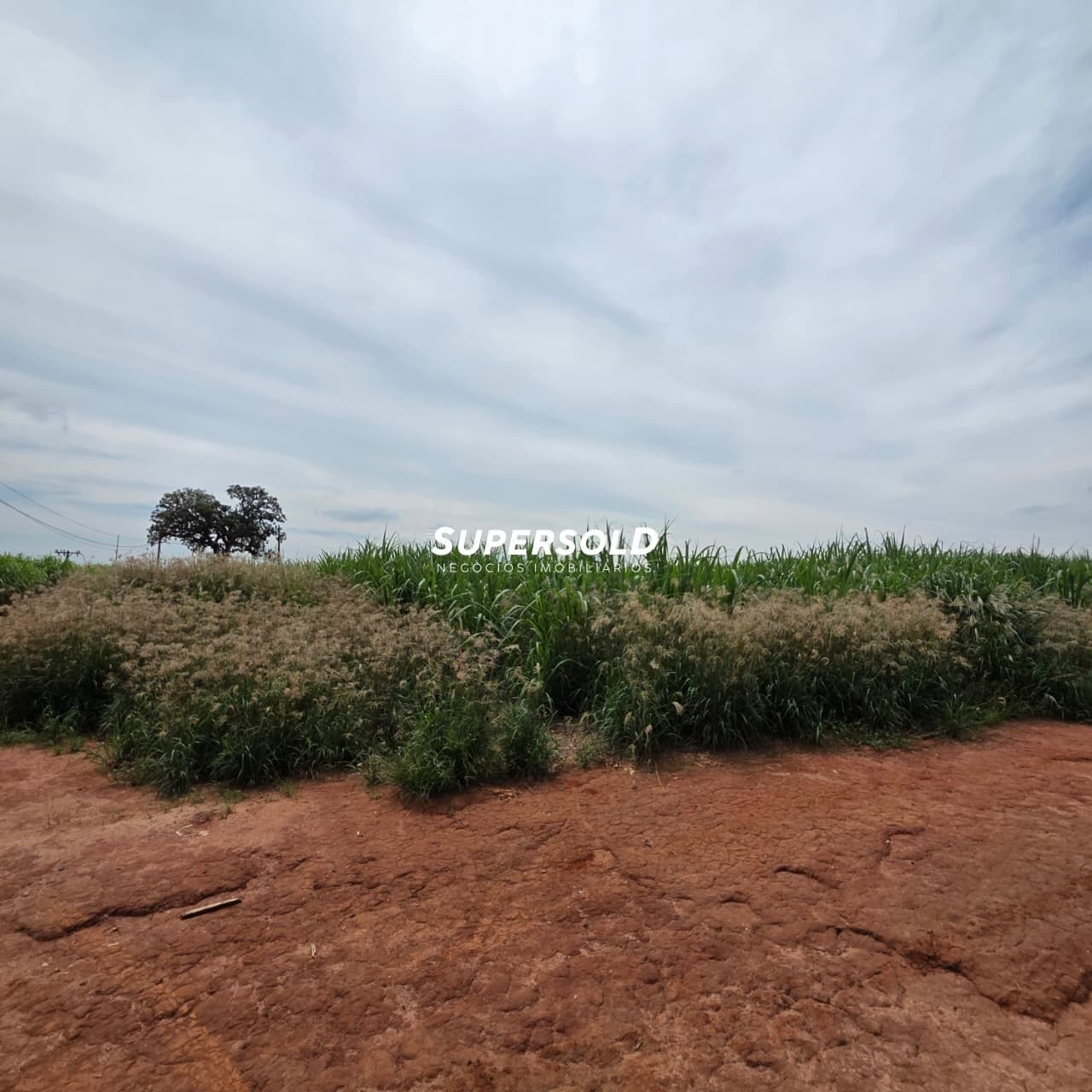 Área Industrial para venda em Monte Mor/SP