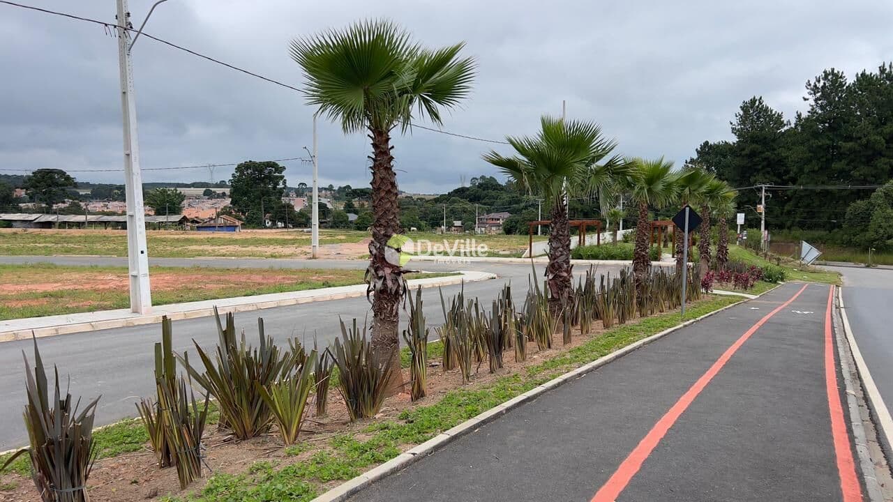 Lote/Terreno em Fazenda Rio Grande - Pioneiros