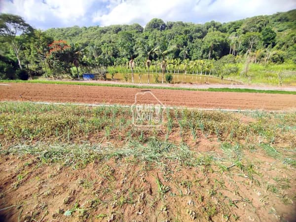 CHÁCARA PARA O PLANTIO E COM MUITA ÁGUA