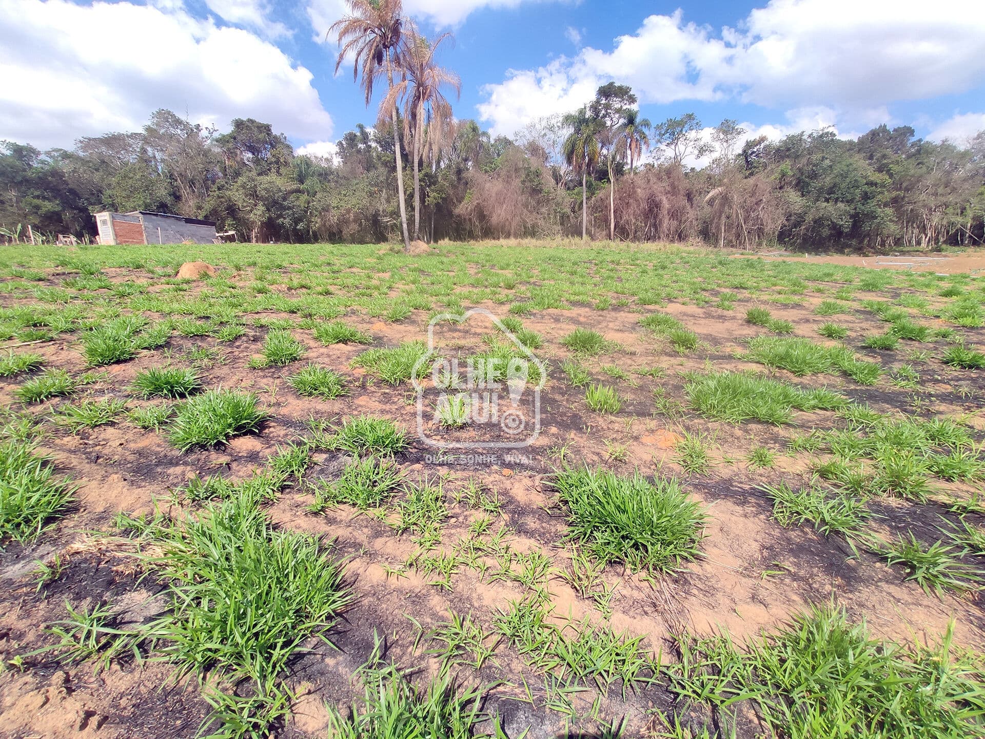 CHEGA DE ESTRADA RUIM: TERRENO A 500 M DO ASFALTO