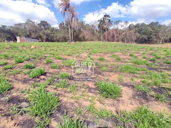 CHEGA DE ESTRADA RUIM: TERRENO A 500 M DO ASFALTO