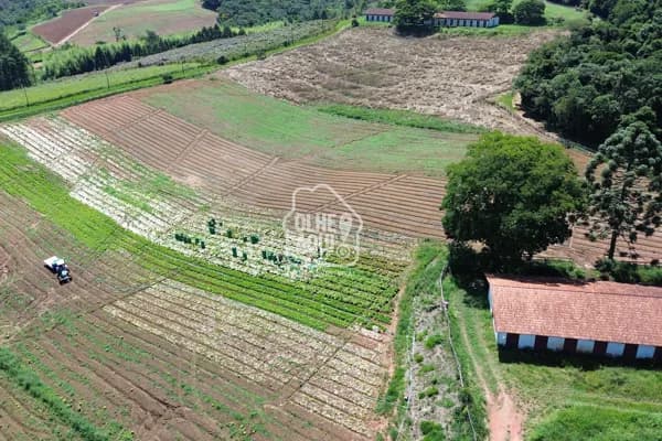 SÍTIO COM TERRA FÉRTIL, PLANA E COM ÁGUA ABUNDANTE