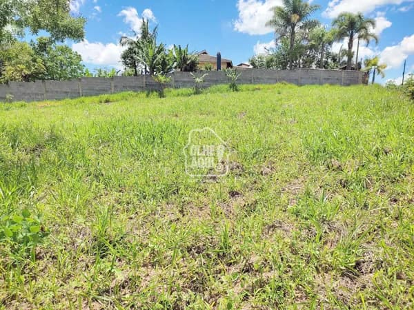 TERRENO DE ESQUINA COM MATRÍCULA