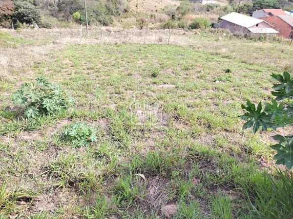 LOTE EM BAIRRO FAMILIAR