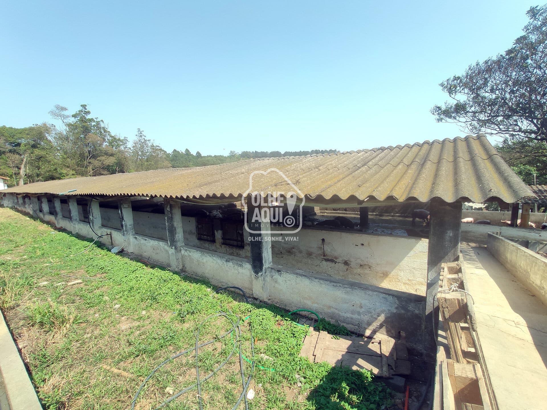 SÍTIO COM GRANJA DE PORCOS EM PIEDADE/SP